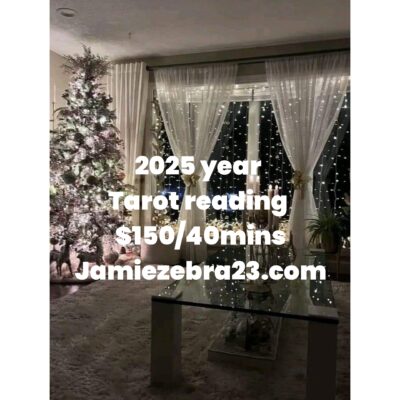 2025 year Tarot reading $150/40mins